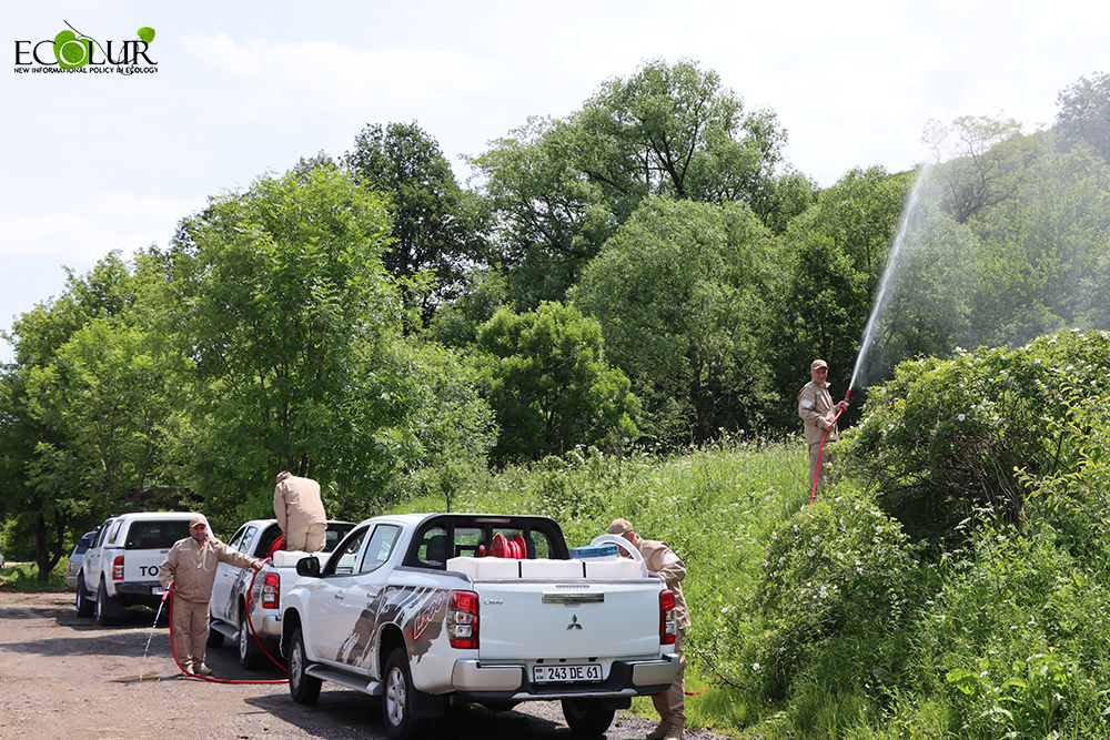 Էկոպարեկային ծառայությունը 1.9 միլիոն դրամ է ծախսել Ամանորին ընդառաջ